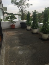 Ming Teck Park (D10), Semi-Detached #180061002